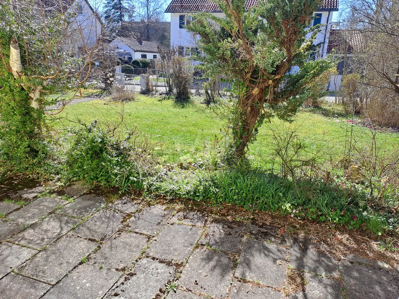Large Image
