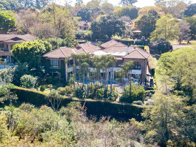 Large Image