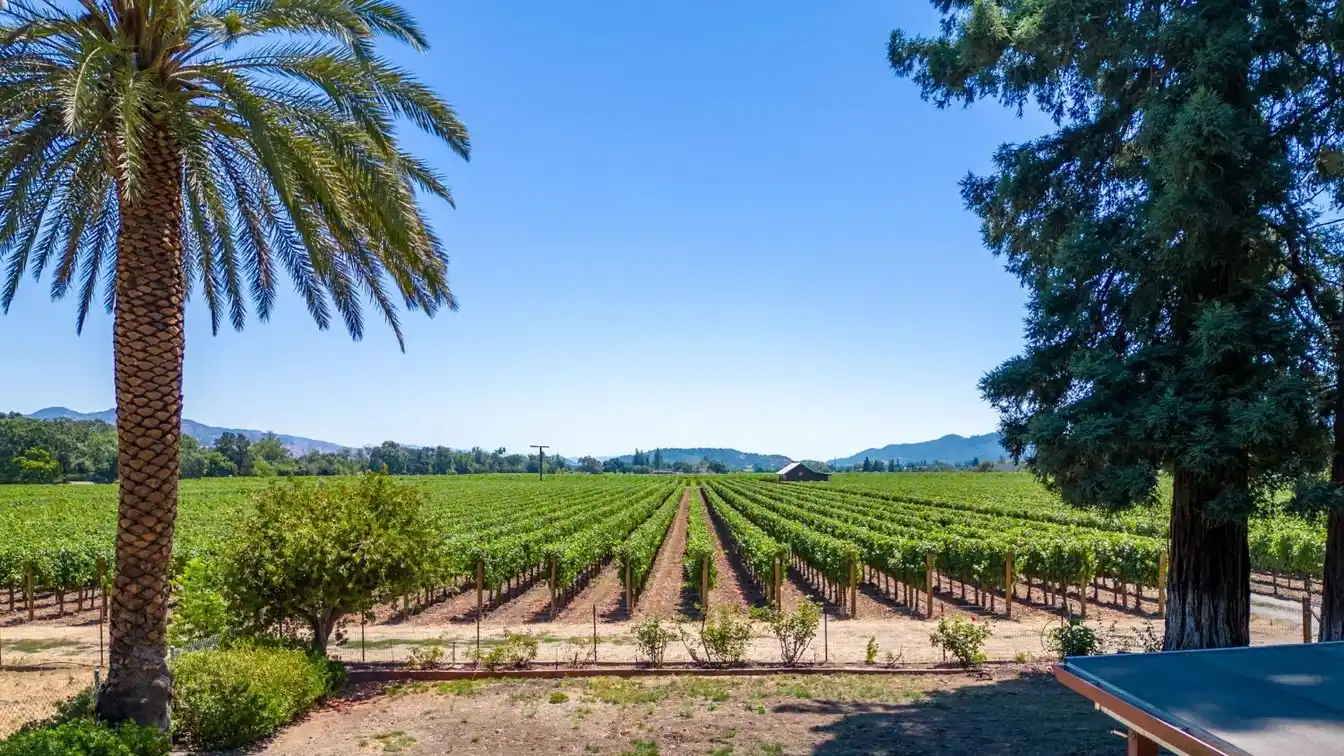 Exceptional Wine Country Opportunity