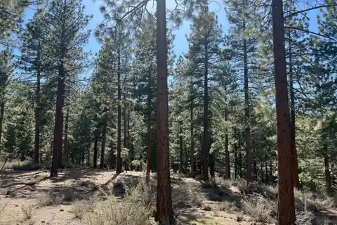 Perfect Near-acre Property