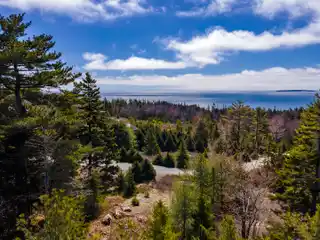 Over Five Acres Atop Ox Hill