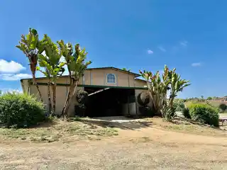 Vibrant Equestrian Oasis