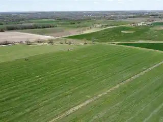 Versatile 220 Acres with Several Building Sites