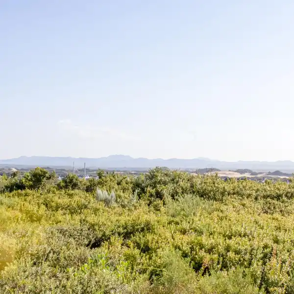 ARCHITECTURALLY DISTINCTIVE HOME