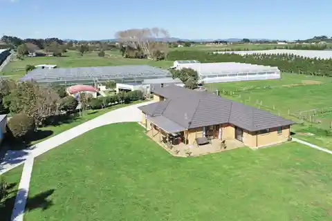 Glasshouse Goldmine with Modern Family Home