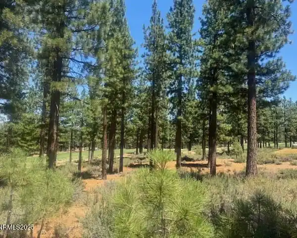 BEAUTIFUL SETTING ON THE FAIRWAY AT CLEAR CREEK TAHOE