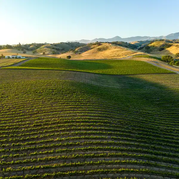 Land