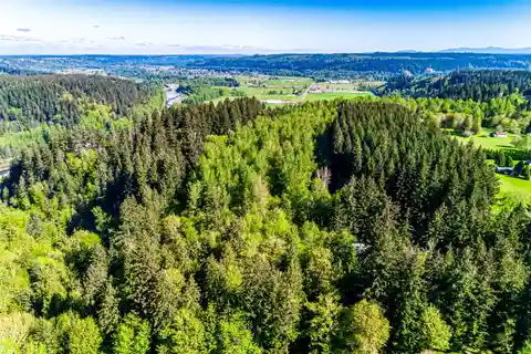 Majestic and Secluded Wooded Acreage