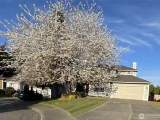 Updated Cul-De-Sac Gem