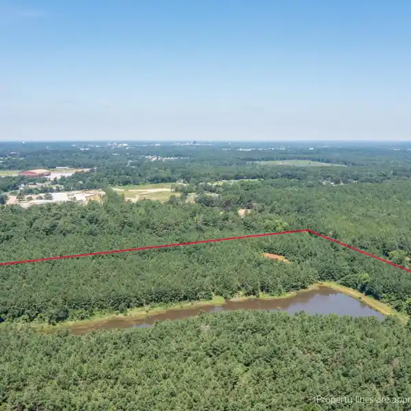 240 ACRES OF PRIME TIMBERLAND