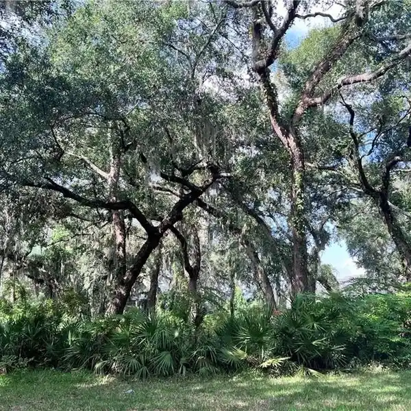 WOODED CORNER LOT ON SEA ISLAND