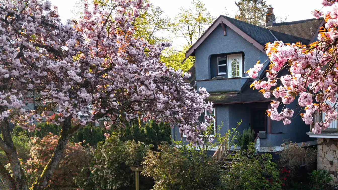 Beautiful Oversized Corner Lot
