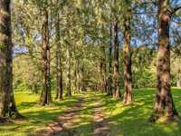 AMAZING LOT IN HEREDIA