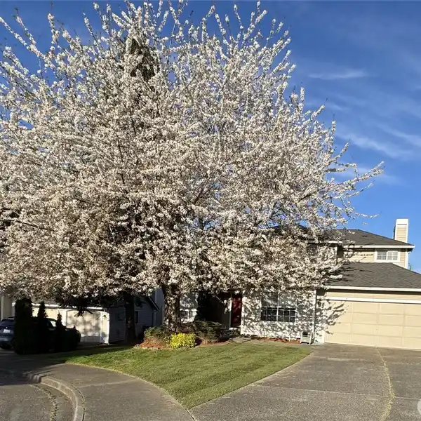 UPDATED HOME ON A PRIVATE LOT IN SOUGHT-AFTER SUMMERWIND