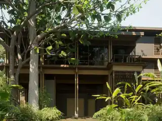 The Jobo House at Nosara El Bosque