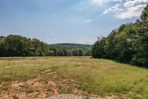 Nearly 59 Acres of Pristine Land
