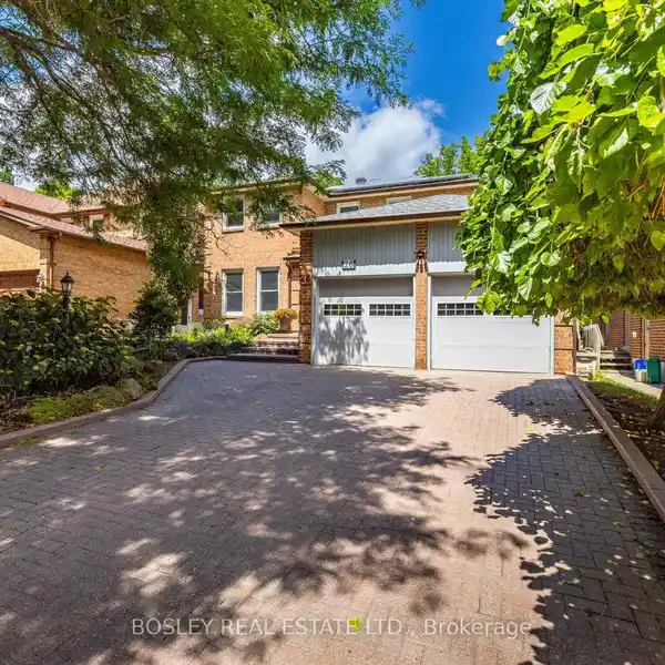 RARE RAVINE-BACKED FAMILY GEM