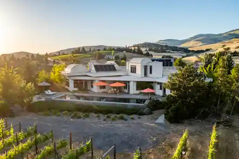 Paradox Vineyard Estate