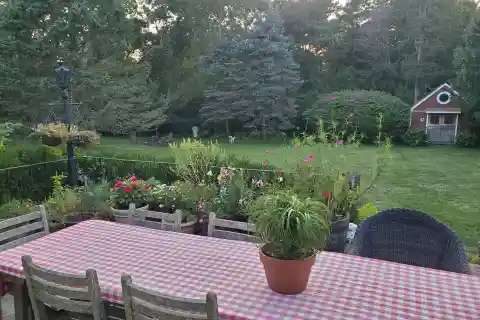 Delightful Rental Home