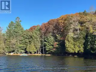 82 Acre Lakefront Property with Endless Possibilities