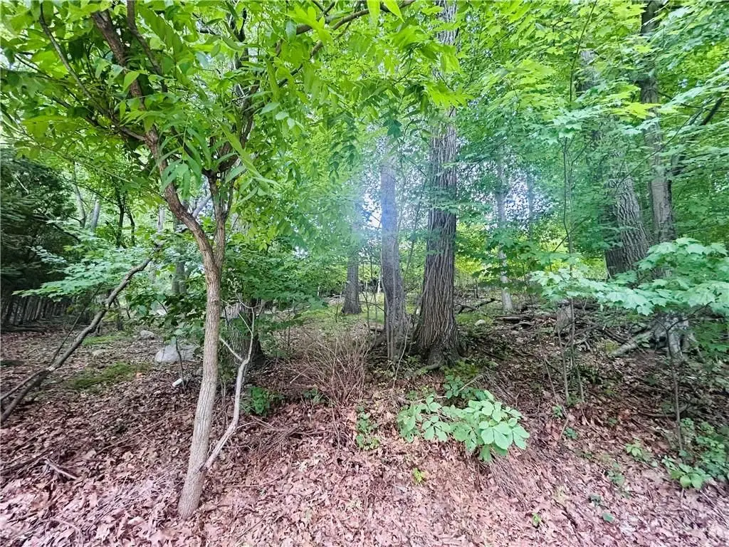 Small Image
