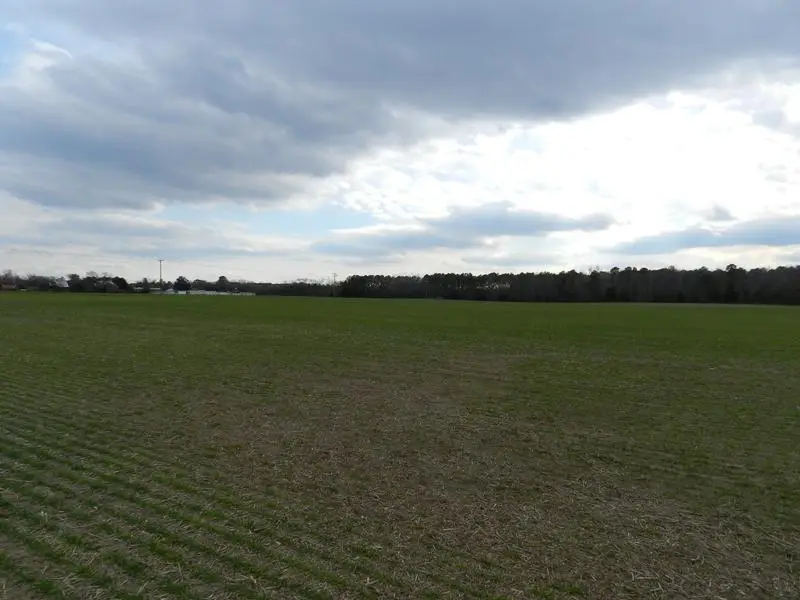 Large Image