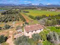 GREAT FINCA WITH A LARGE PLOT AND VIEWS OF THE TRAMUNTANA