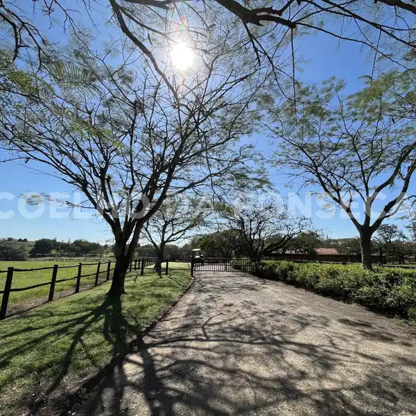 SPRAWLING HORSE PROPERTY