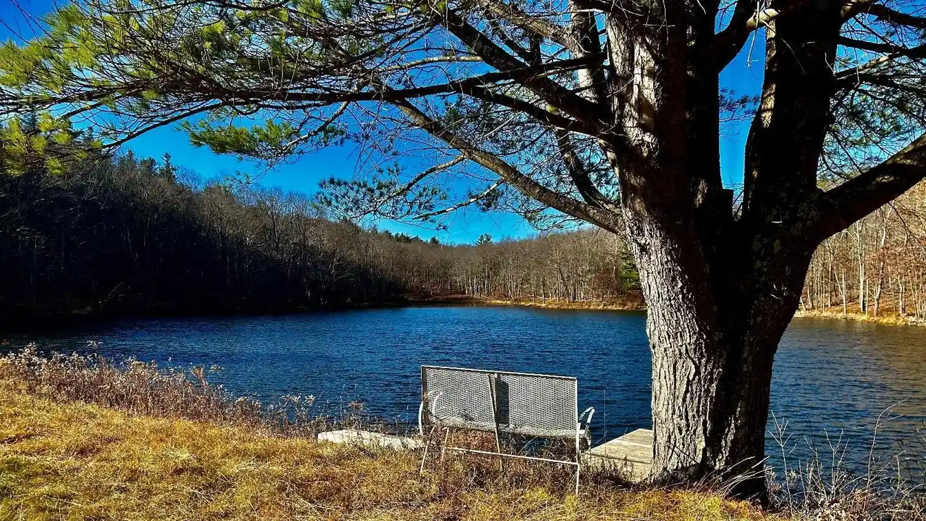 242 Acres Ready for Country Living