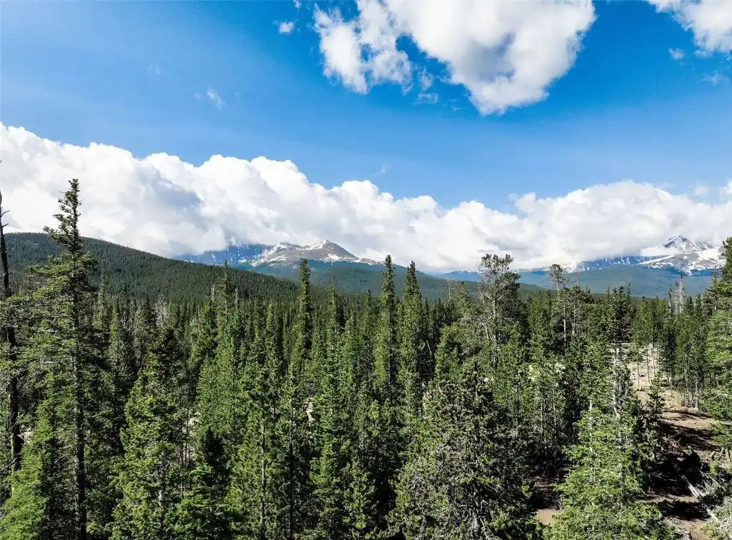 Nine Acre Homestead Within a Prestigious Gated Community