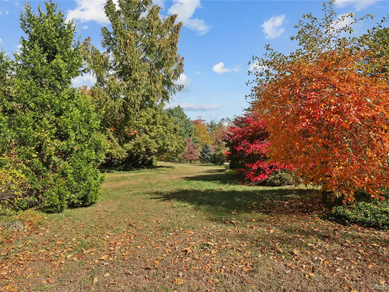 Large Image