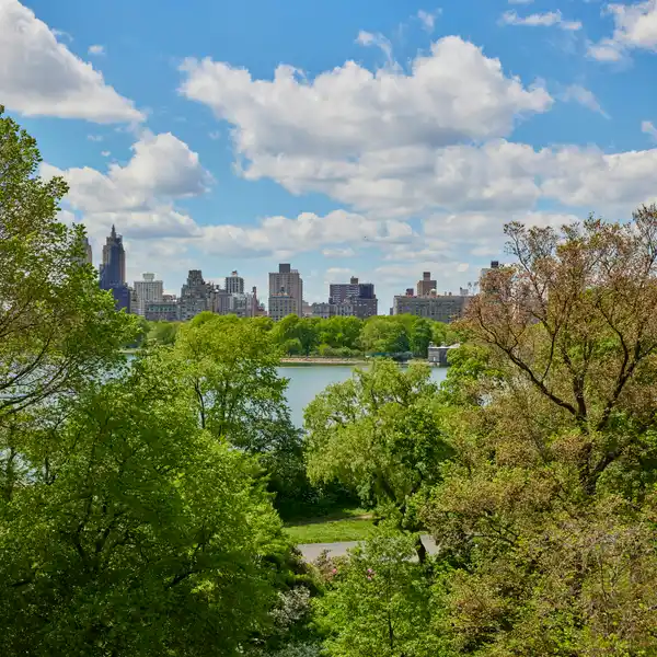 FULL-FLOOR FIFTH AVENUE FIXER