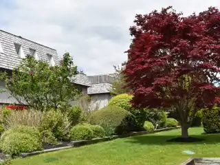 Charming Condo Close to Everything