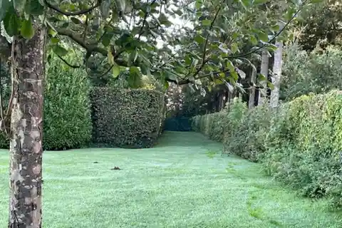 Beautiful Building Plot