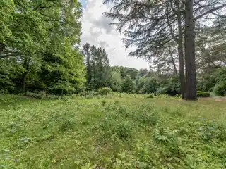 Sun-Filled Rural Retreat with Nature Surroundings