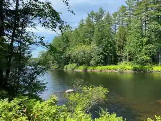 104 Pristine Wooded Acres