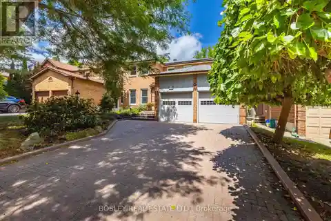 Rare Ravine-Backed Family Gem