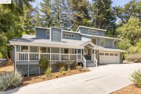 Updated Gem in the Redwoods of Montclair