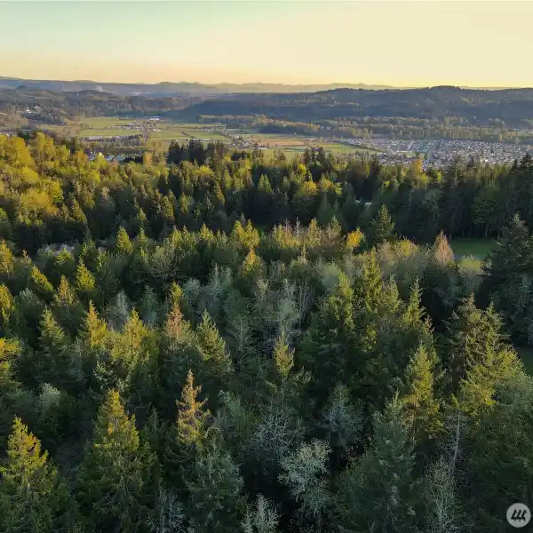 PRIME TEHALEH OPPORTUNITY