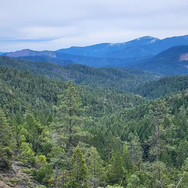 VERSATILE 320-ACRE PROPERTY