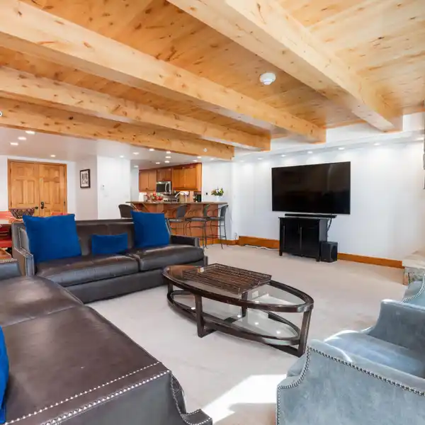 LIONSHEAD GEM | RECENTLY UPDATED WITH MODERN FINISHES