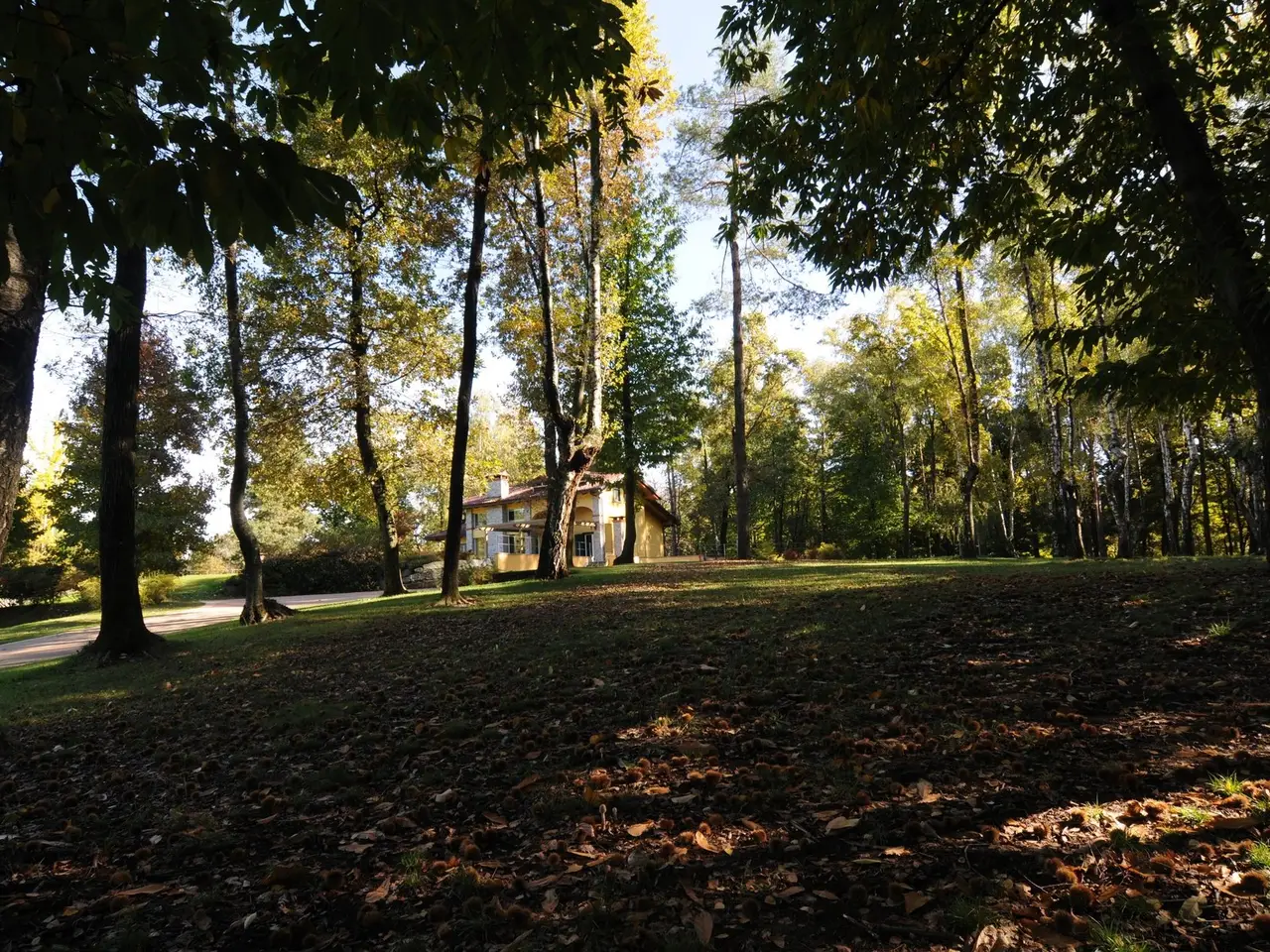 Small Image