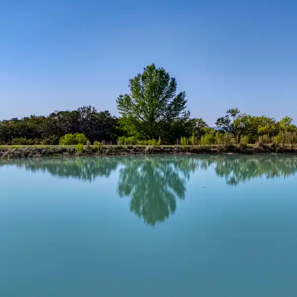 THE RANCH AT TARGET HILL