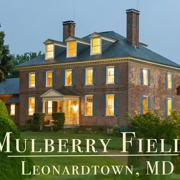 MULBERRY FIELDS