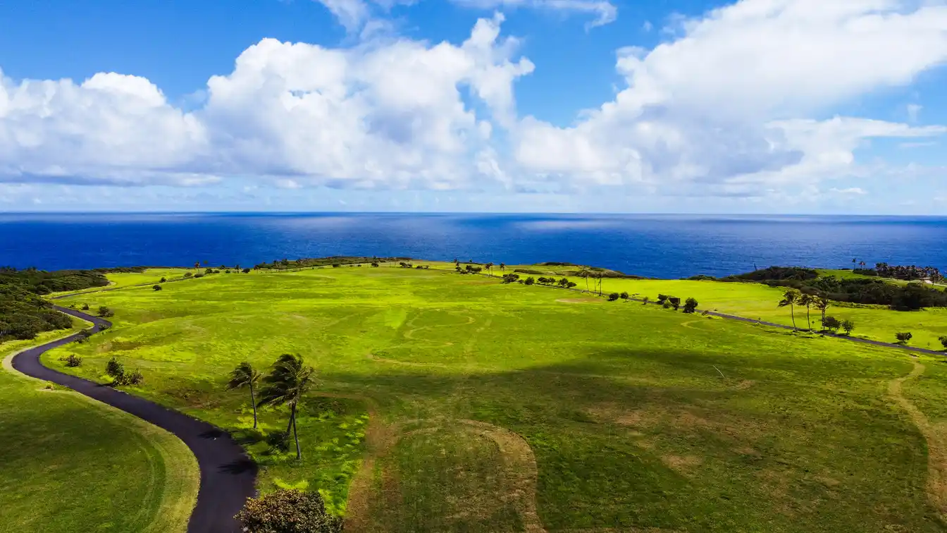 The Crown Jewel of Pe’ahi Farms