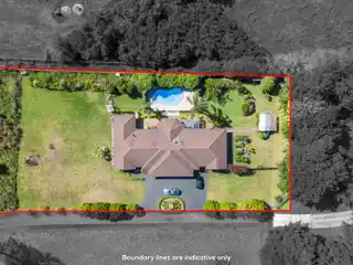 Family Entertainer Inside and Out