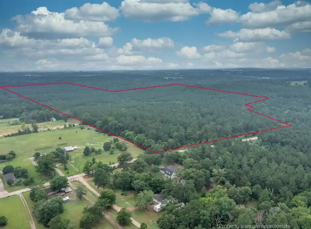 240 Acres of Prime Timberland