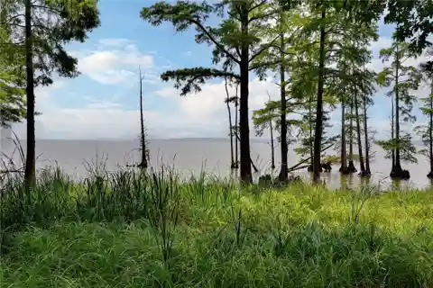 Thoughtfully Designed and Executed Home Near James River