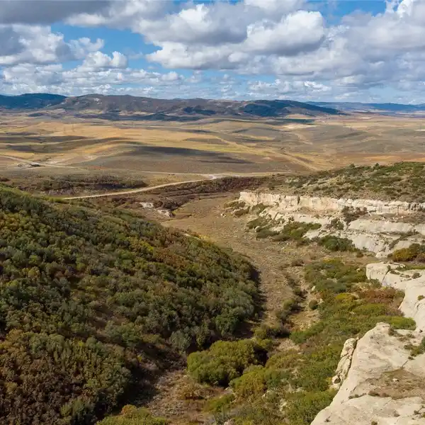 GRASSY HOLLOW RANCH