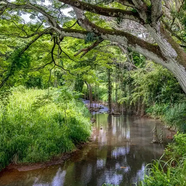 HIDDEN OASIS NESTLED IN THE KEAPANA VALLEY
